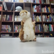 작은이미지