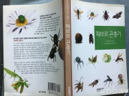 작은이미지