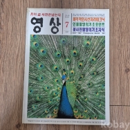작은이미지