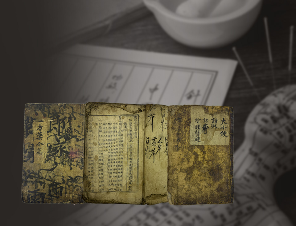 동양 의술의 신비展